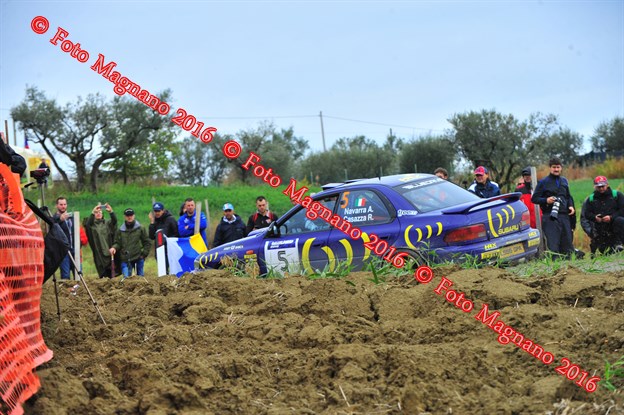 DSC_8896.JPG